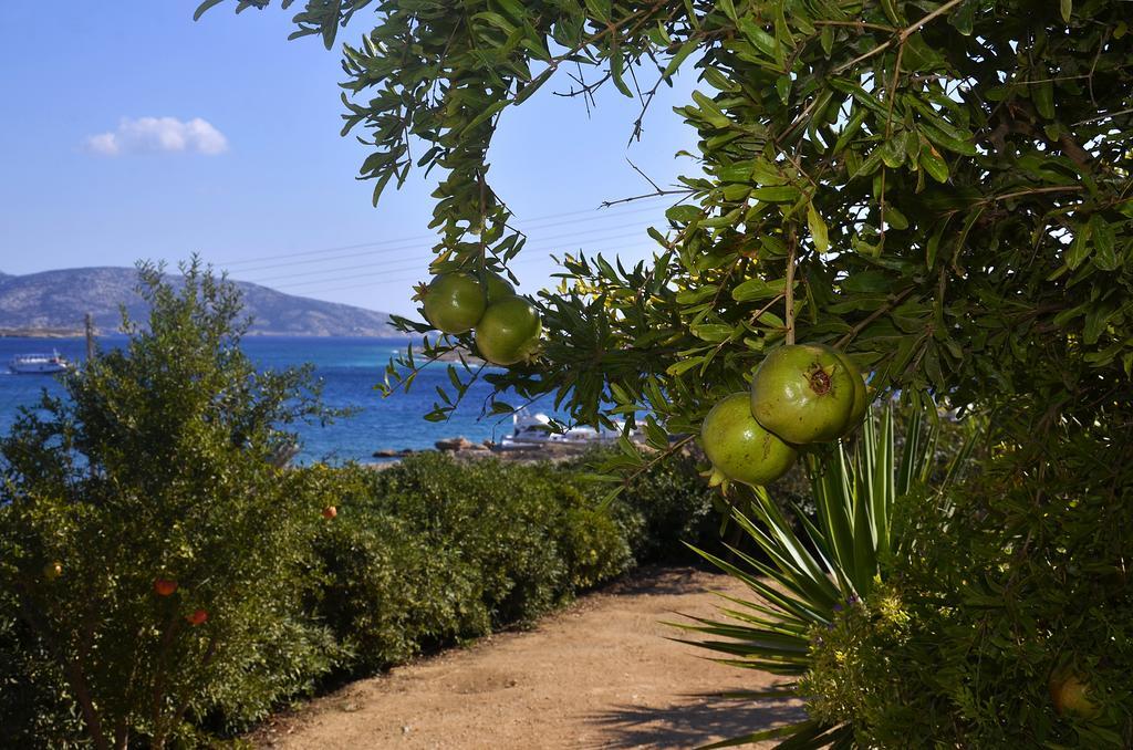Onar Studios Koufonisia Luaran gambar